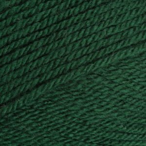 Stylecraft - Special DK - 1009 Bottle