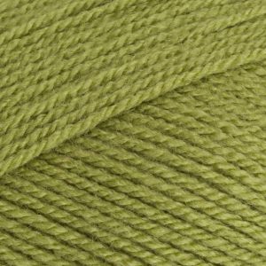 Stylecraft - Special DK - 1065 Meadow