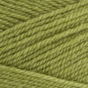 Stylecraft - Life DK - 2311 Fern