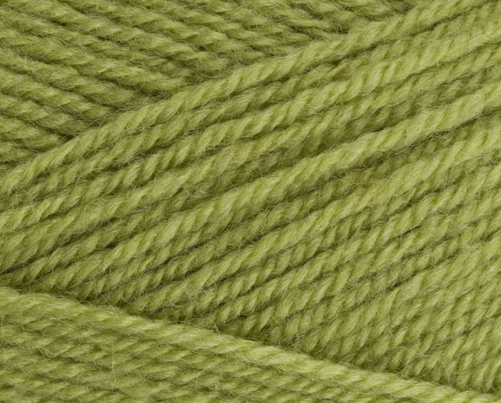 Stylecraft - Life DK - 2311 Fern