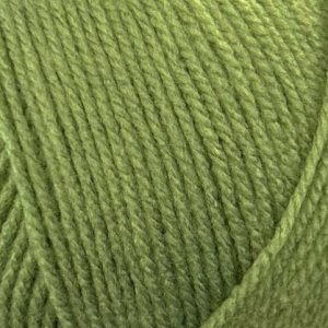 Stylecraft - Special DK - 2176 Leaf